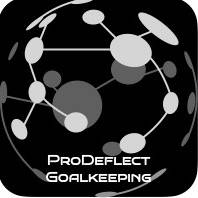 James Hollman ProDeflect Owner