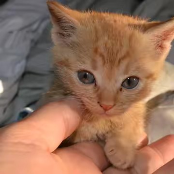 je bug sur se compte