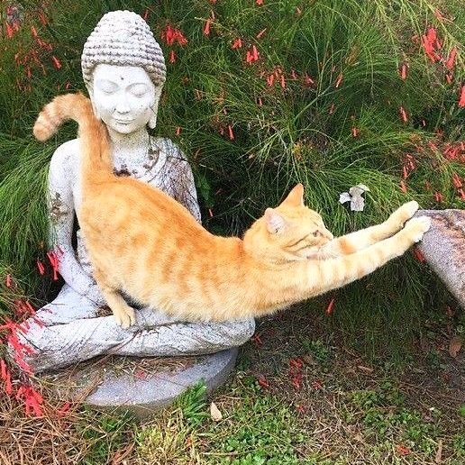 ˗ˏˋ wergloswsx ˎ˗