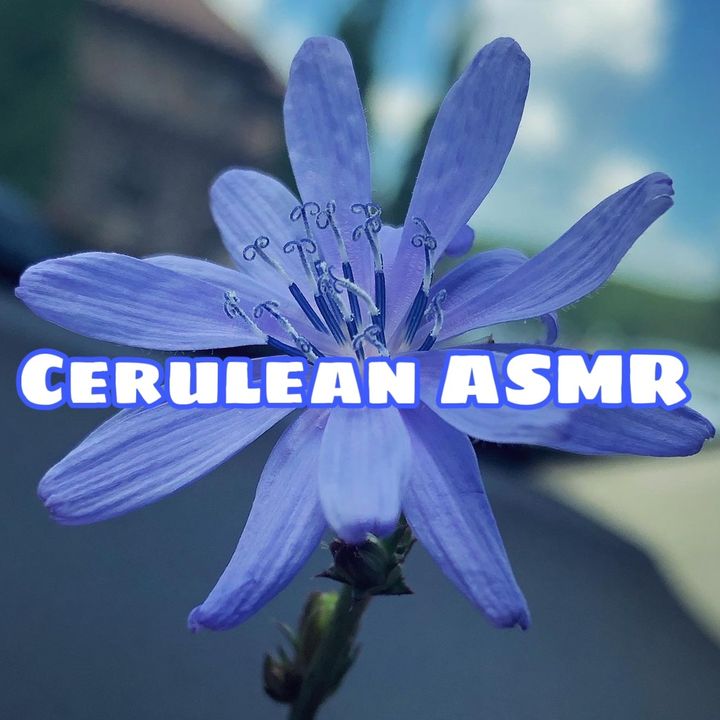 Cerulean ASMR