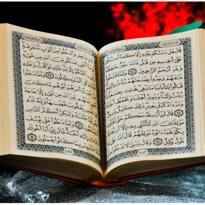 ابومحمد🇩🇪