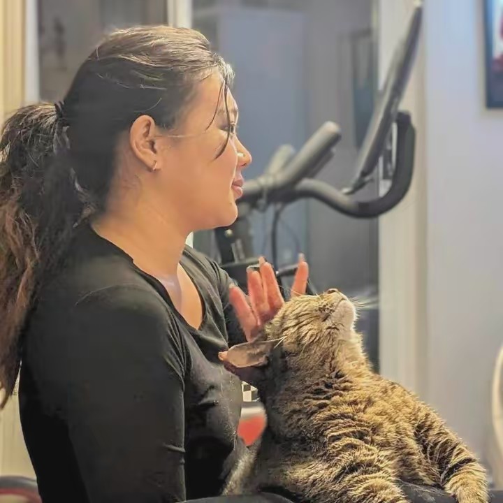 housesitter | living rent free