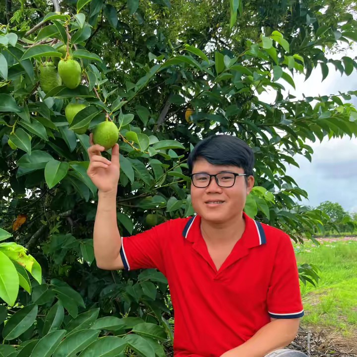 Minh trí Đồng Tháp