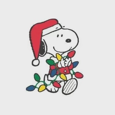 🪵･:*:･𝖗𝖔𝖗𝖎𝖊･:*:･🧣