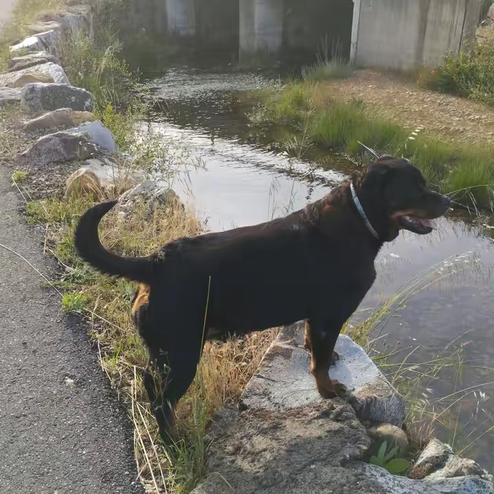 𝐉𝐔𝐃𝐈𝐓𝐇_012