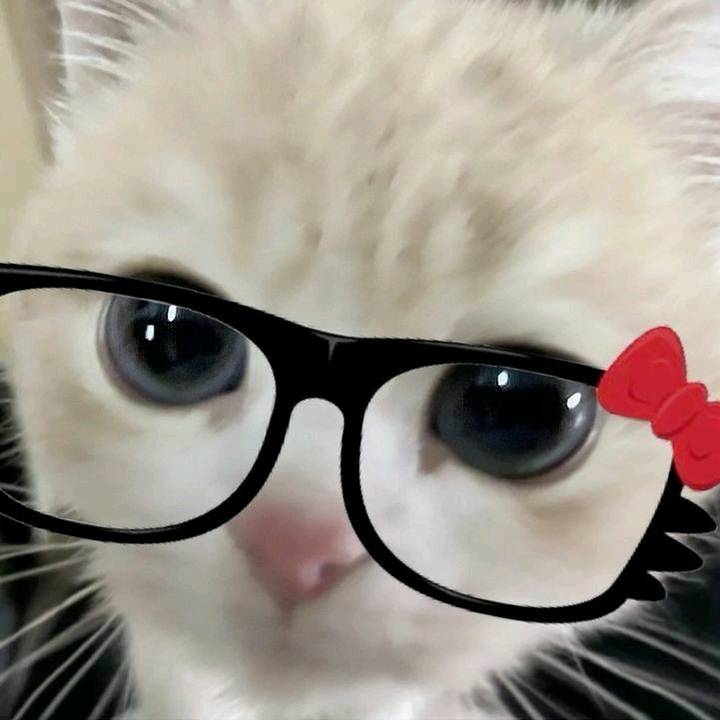 𝒞𝒶𝓇ℴ𝓁𝒾𝓃𝒶