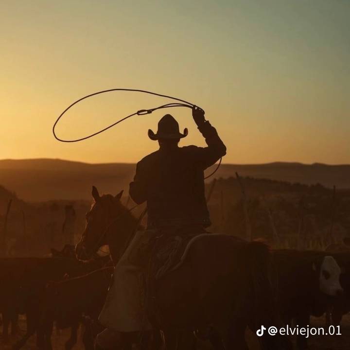 JUAN DIEGO REYNOSO👤