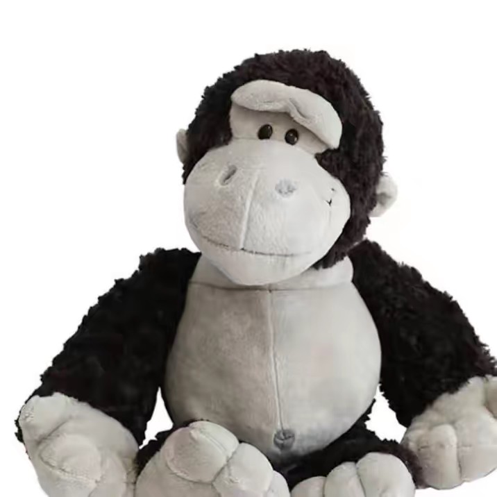 アマゾン限定の猿