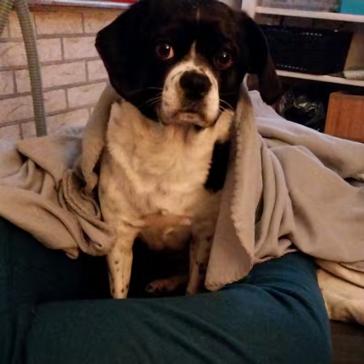 Martha (🧯 Kellerwuff 🧯)