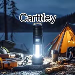 Carttley