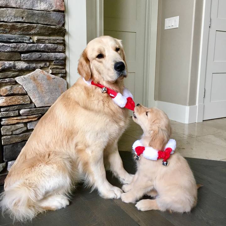 Marty, Murphy, Millar