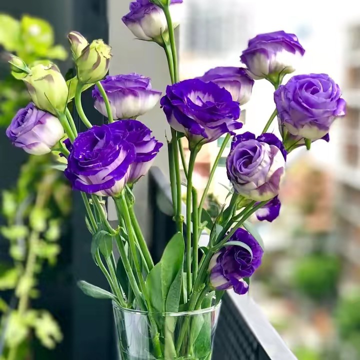 ของใช้ byอ้อม