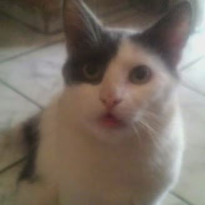 Marilena de Oliveira