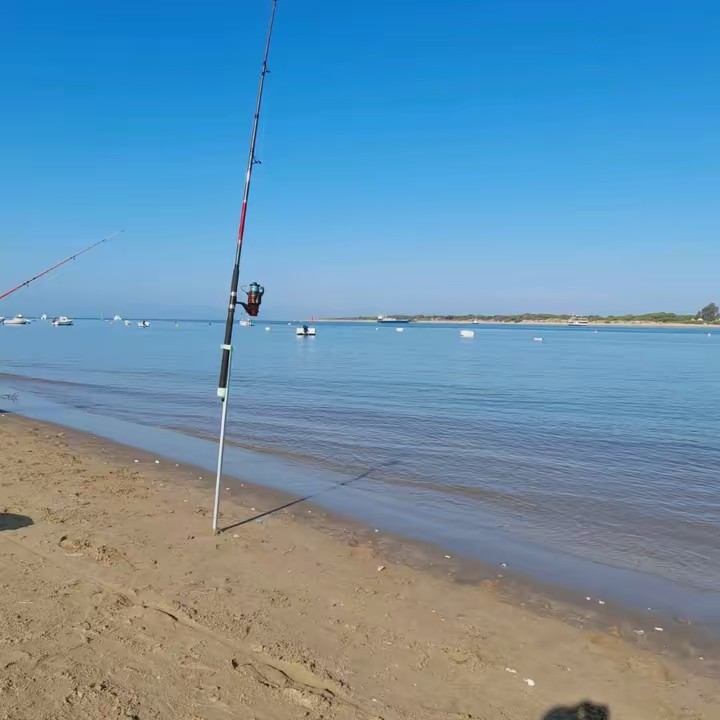 Jose Luis Carballo T