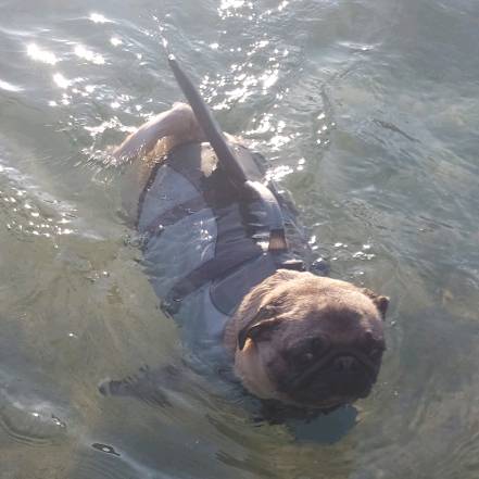 Pachís y Lizz Olivera