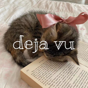 Dejavu Fashion Shop