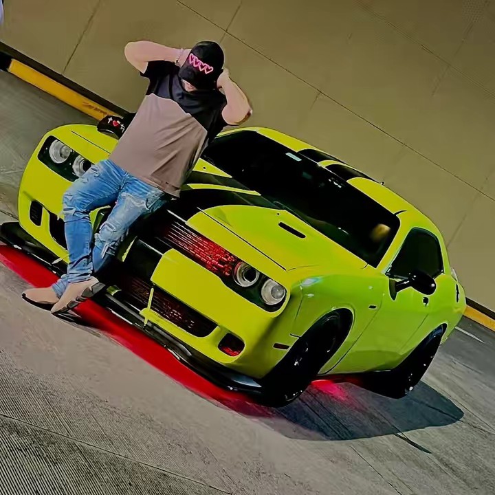 El_zorro_5.0