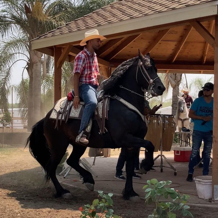 Alexis Rios Arellano