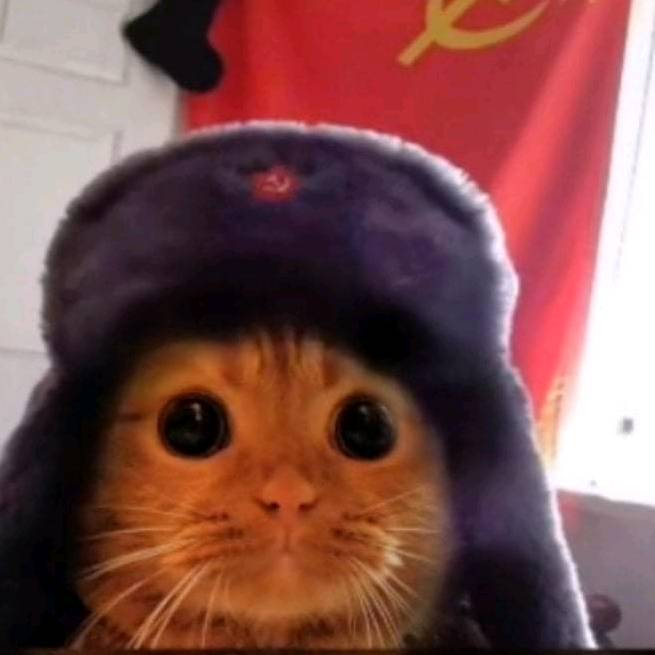 gatito Ruso