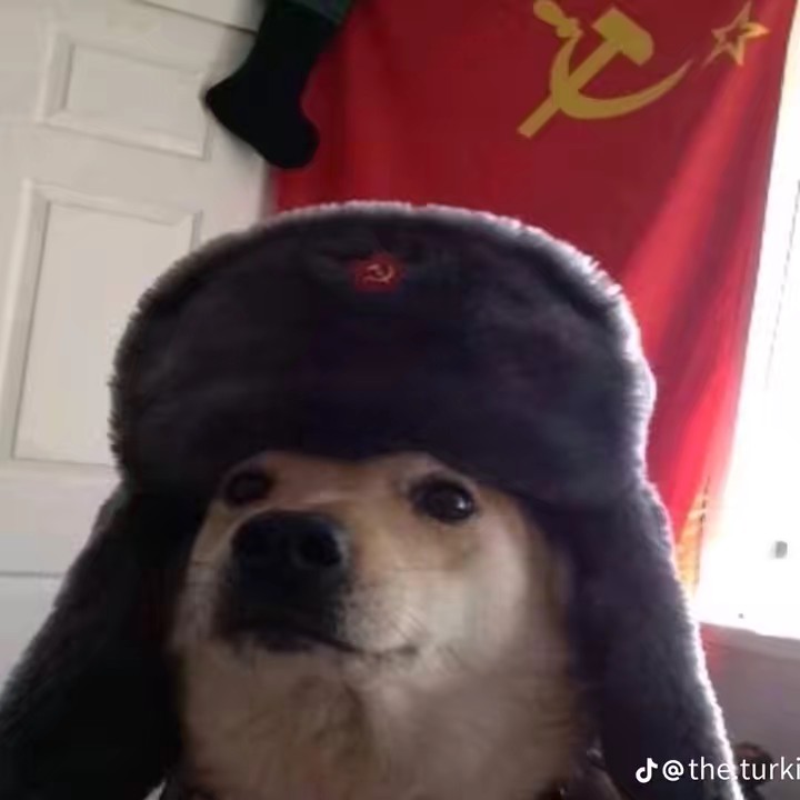 Antoine ¯\_(ツ)_/¯