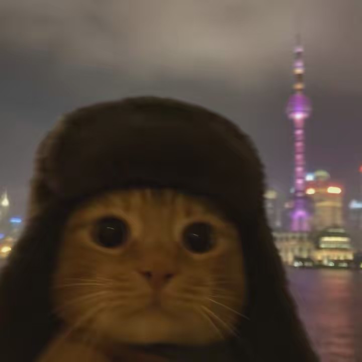 tomatoluvr88 | irl china 🇨🇳