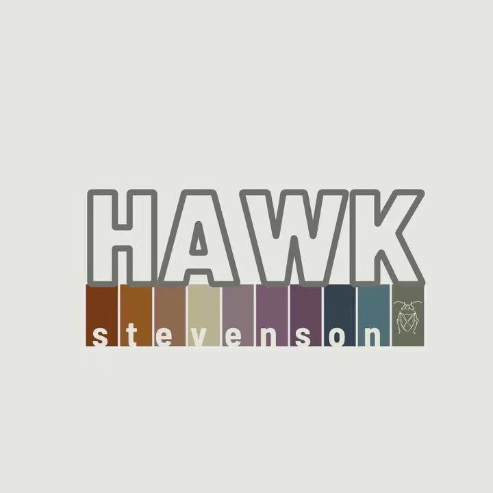 Hawk Stevenson | Author 🏳️‍⚧️