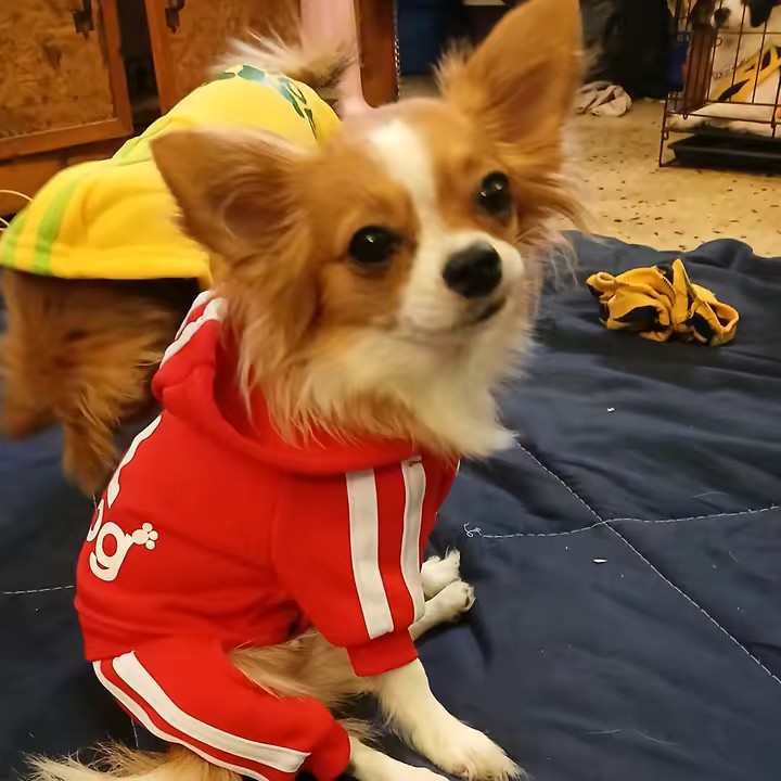 น้องมีตัง