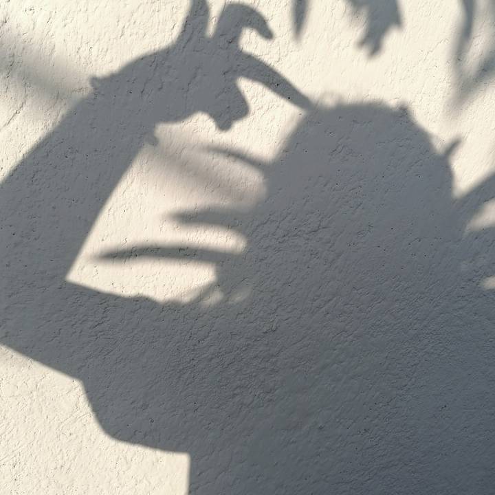 Lo mas chido es el rocktar🤘🤟