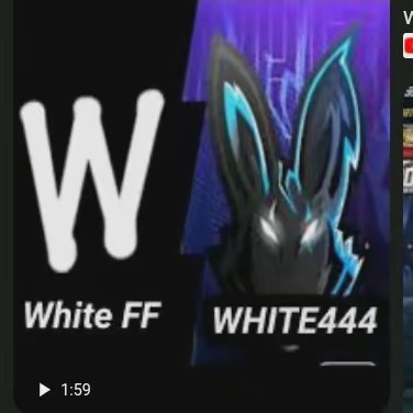 WHITE 444. ff