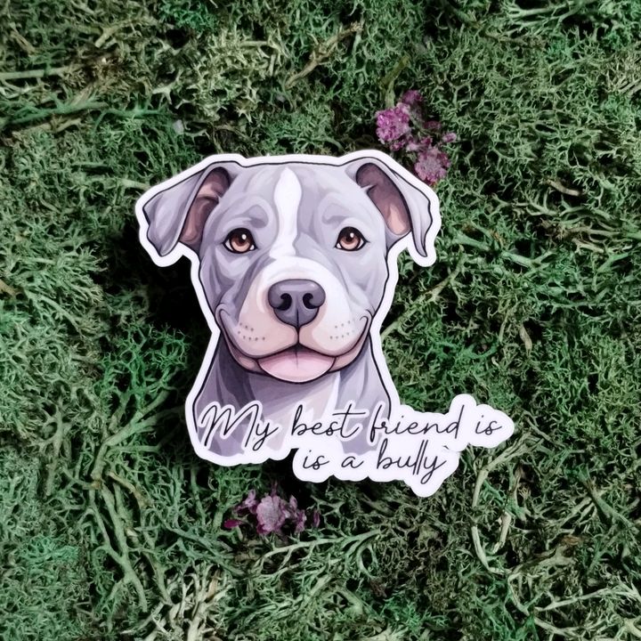 The Deranged Crafter