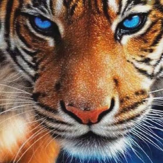 Diamondpainting41107