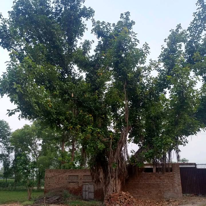 🤠pind 🤝party💪🥰😘😍😎