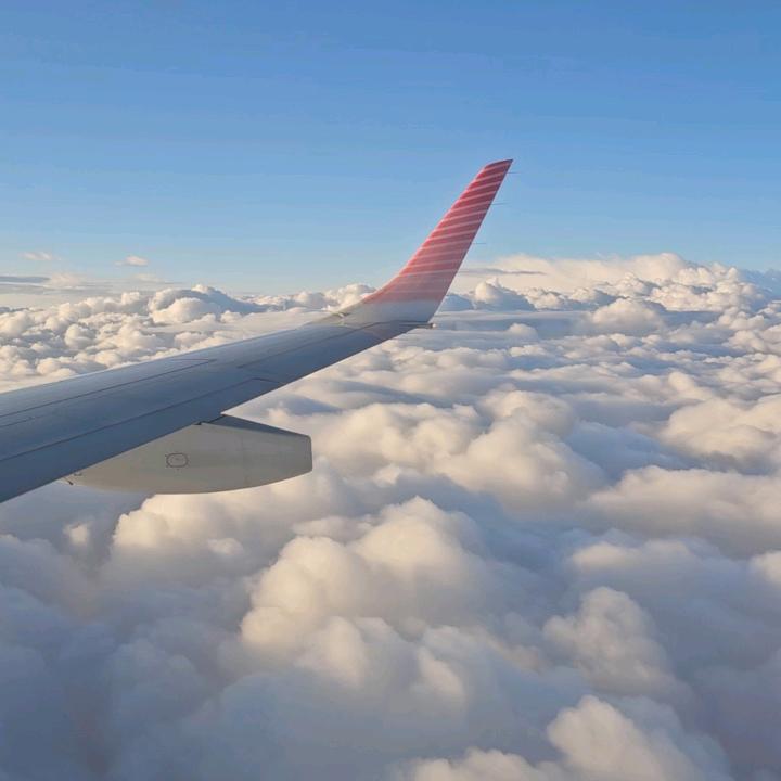 Gallivant with us | Travel 🌎