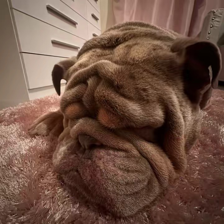 Cerman winstead • follows you