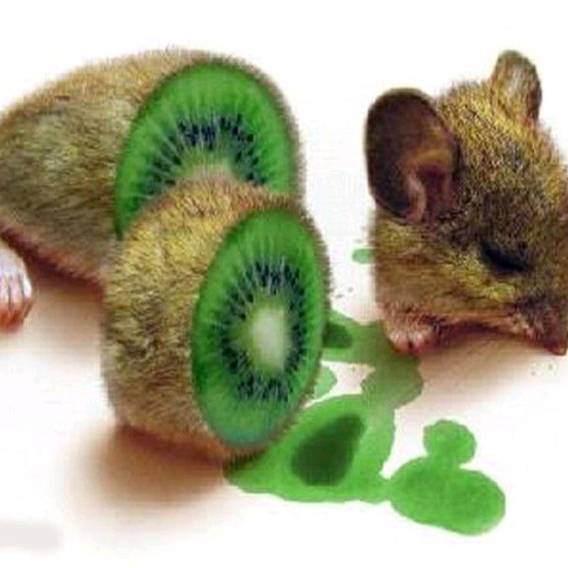 Lmfao_So_U_Think_Ur_Right?