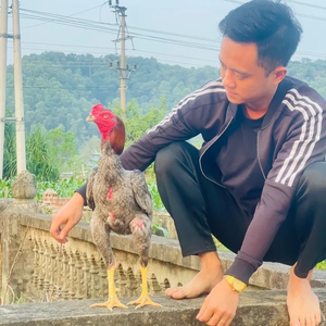 Duy Trần Nam Định