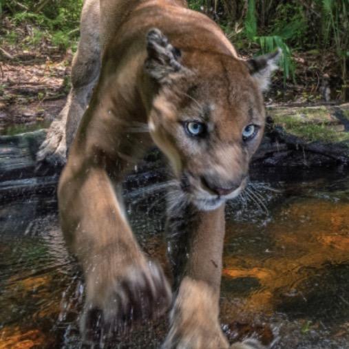 𝐋𝐨𝐜𝐚𝐥𝐂𝐨𝐰𝐏𝐨𝐤𝐞🤠