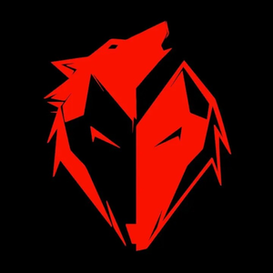 EKKOVISION