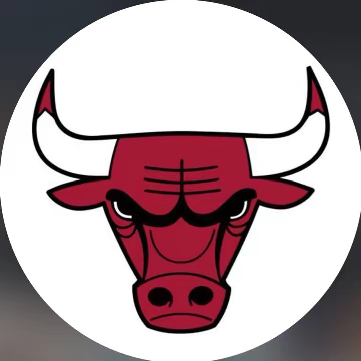 Chicago Bulls