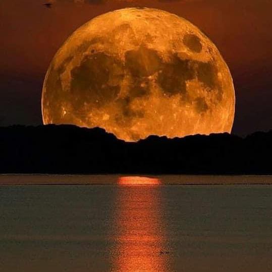 💜M.A.Y.L.E.E.N💜