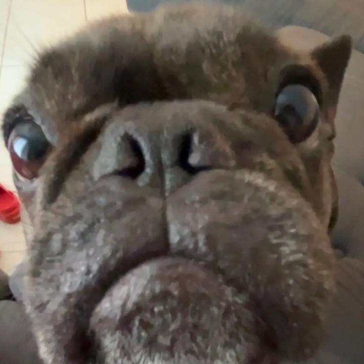 My Mann❤️🕷♈️