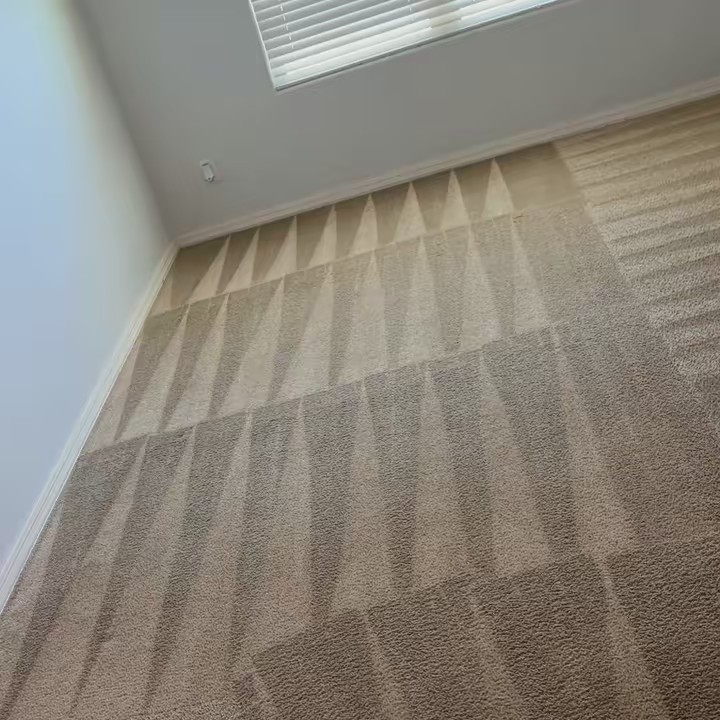 elitecarpetenhancement