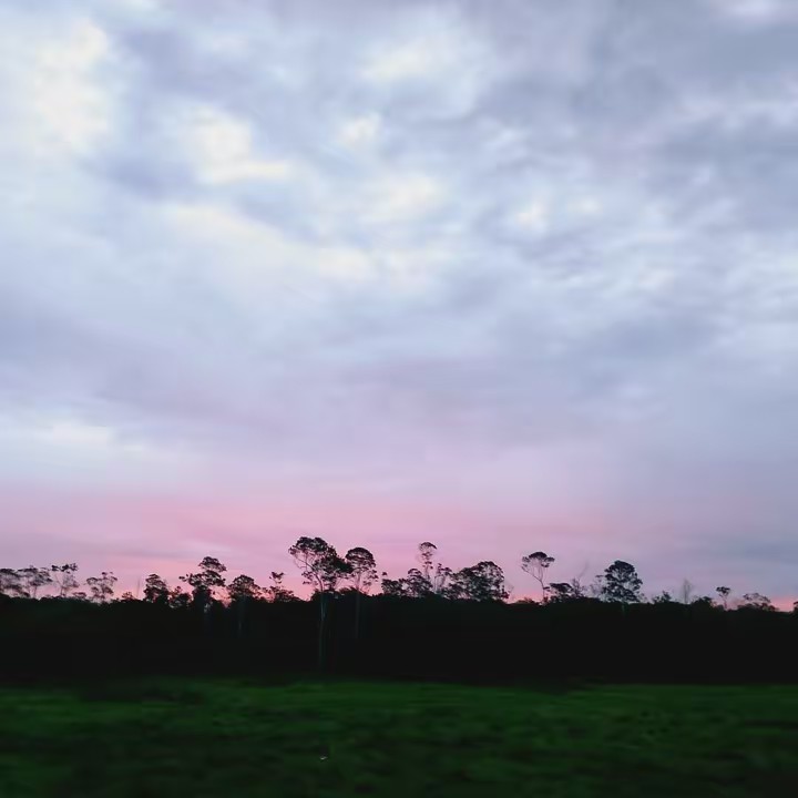 DORAMEIRA🫰🏼🫶🏼 😜