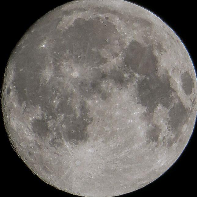 rayne was here ༝꩜🦋