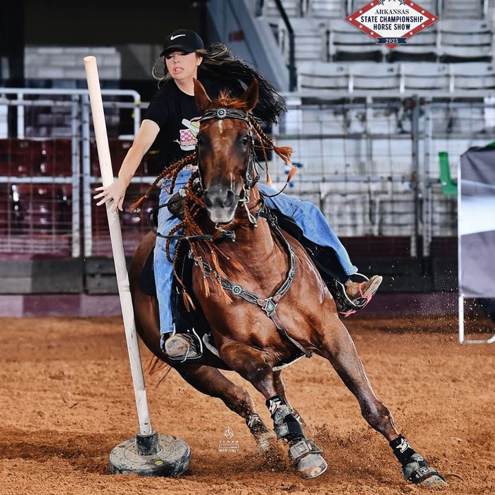 🔹♠️ 🪶 BLISS🪶♠️🔹