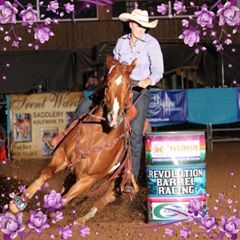 🌵🐎🇺🇸 KIM 🇺🇸🐎🌵