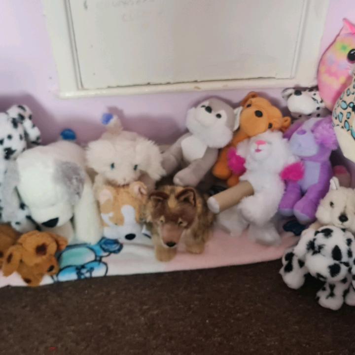 animals ❤️❤️