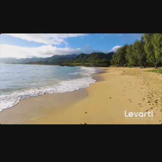 Travel Dreams with Shawna