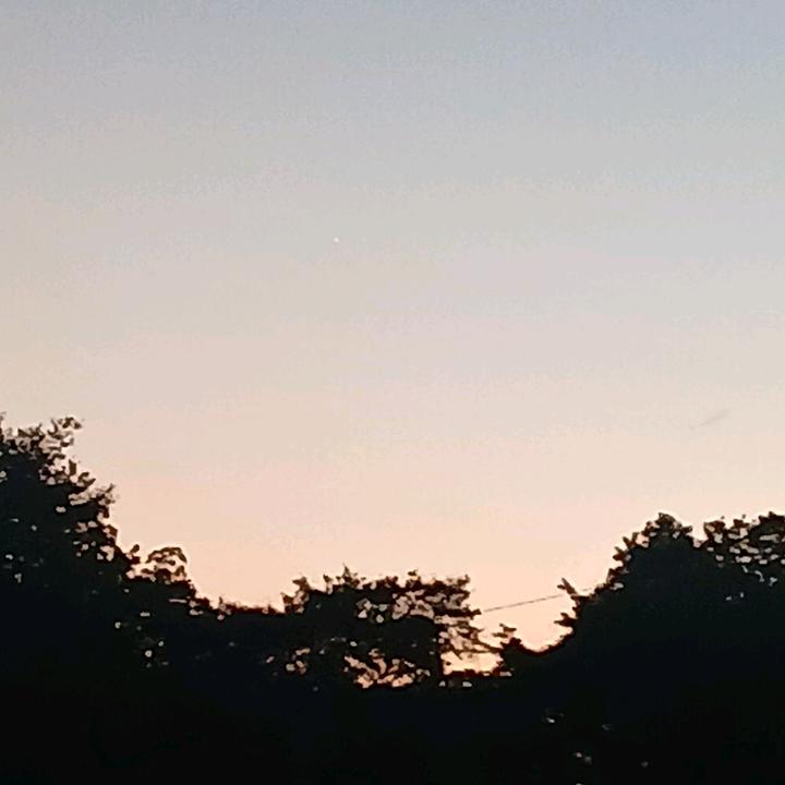 THAREAL.SHAIANNE❤️