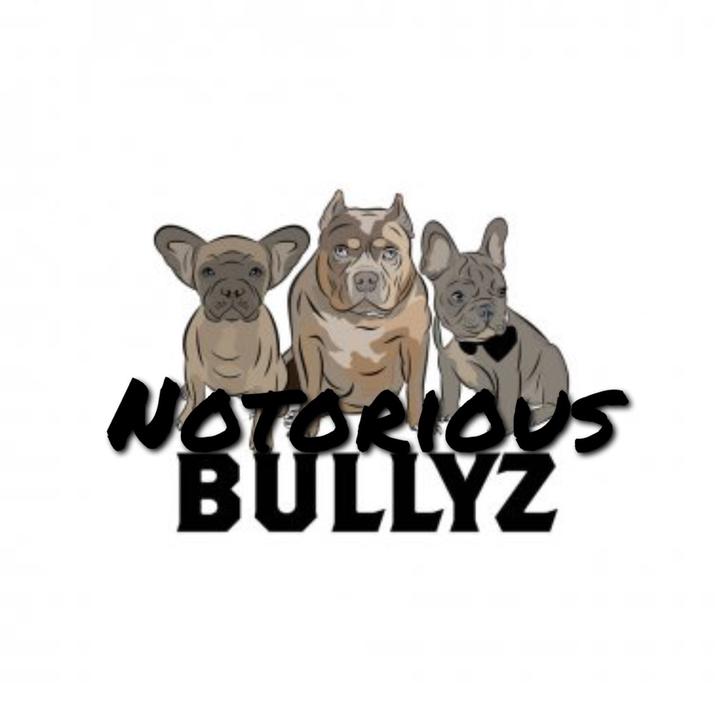 Notoriousbullyz